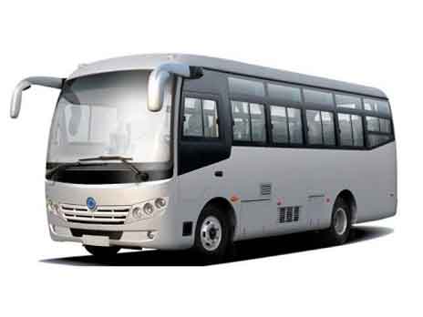 LUXURY COACH/BUS - 18 Seater 